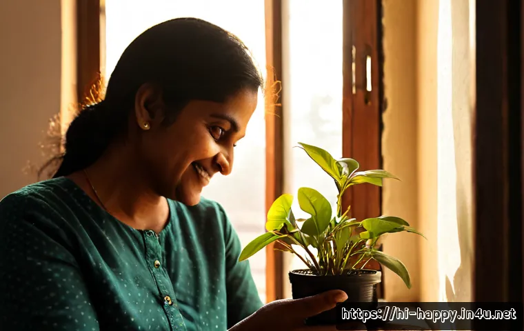 Home 17 행복을 위한 작은 변화 - Photorealistic morning scene of an Indian woman in her 40s placing a small green houseplant beside a...